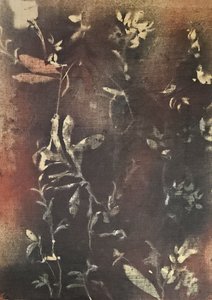  作： Stefano Mazzolini