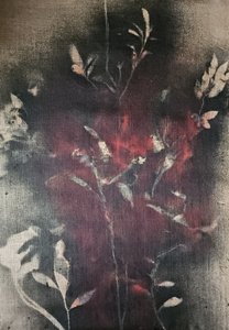  作： Stefano Mazzolini