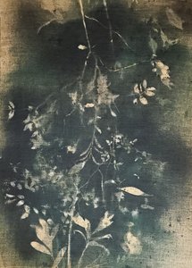  作： Stefano Mazzolini