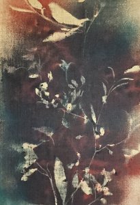 作： Stefano Mazzolini