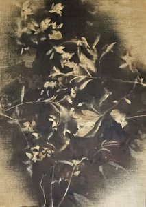 陰鬱な花の影 作： Stefano Mazzolini