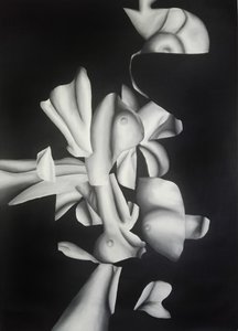  作： Stefano Mazzolini