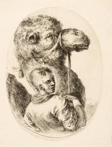 手綱でラクダを保持している少年, いくつかの頭 Coiffées à la Persienne, パブ. 対。 1650年（彫刻） 作： Stefano della Bella