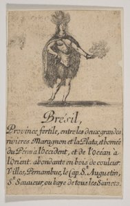 ブラジル、1644年。 作： Stefano della Bella