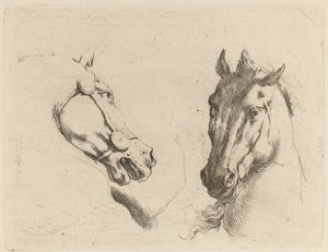 横顔と 4 分の 3 で見られる馬の頭 作： Stefano della Bella