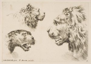 3人のライオンの頭、ca。 1641年。