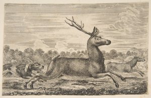 クワガタとDoeを追いかける猟犬1654年。