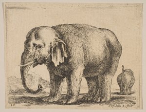 プレート10：さまざまな動物の象Diversi animali、ca. 1641年。 作： Stefano della Bella