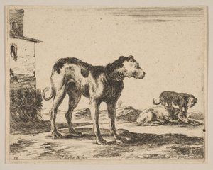 プレート11：さまざまな動物の犬Diversi animali、ca. 1641年。 作： Stefano della Bella