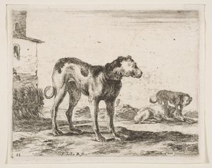 プレート11：さまざまな動物の犬Diversi animali、ca. 1641年。 作： Stefano della Bella