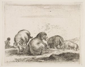 プレート12：牧草地の羊と羊、さまざまな動物Diversi animali、ca。 1641年。 作： Stefano della Bella