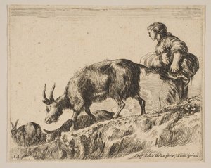 プレート14：羊の群れ、山羊、ca。 1641年。 作： Stefano della Bella
