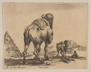プレート18：後ろから見たラクダ、左にピラミッド、「様々な動物のダイバー...」より、1641年頃。