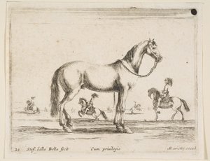プレート21：さまざまな動物の馬Diversi animali、1641年。 作： Stefano della Bella
