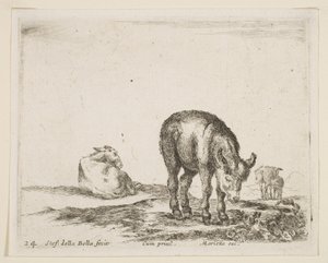 プレート24：さまざまな動物のロバ、Diversi animali、ca。 1641年。 作： Stefano della Bella