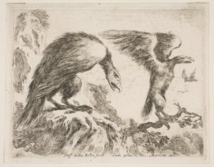 プレート2：ワシとワシ、さまざまな動物からDiversi animali、ca. 1641年。 作： Stefano della Bella