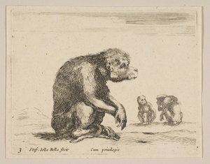 プレート3：座っているサル、さまざまな動物からDiversi animali、ca. 1641年。