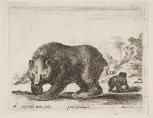 プレート4：熊（「様々な動物」より Diversi animali, 1641年）。 作： Stefano della Bella