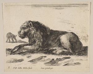 プレート5：さまざまな動物のリクライニングライオンDiversi animali、ca. 1641年。 作： Stefano della Bella