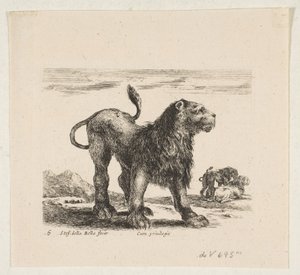 プレート6：ライオン、「様々な動物」より Diversi animali、1641年頃。 作： Stefano della Bella