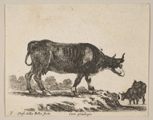 プレート7：さまざまな動物の牛Diversi animali、ca. 1641年。 作： Stefano della Bella
