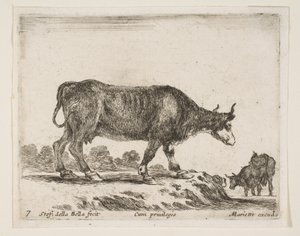 プレート7：牛、さまざまな動物からDiversi animali、ca. 1641年。 作： Stefano della Bella