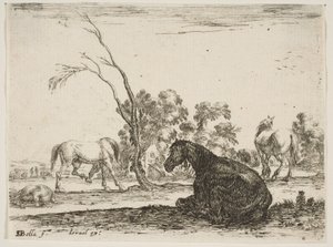 プレート8：後ろから座って右に座っている馬、他の3つの馬...、1642年