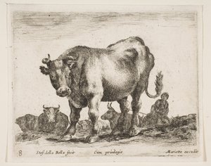 プレート8：さまざまな動物の牛Diversi animali、ca. 1641年。 作： Stefano della Bella