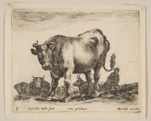 プレート8：牛（「様々な動物」より） Diversi animali, ca. 1641. 作： Stefano della Bella