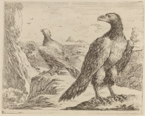 頭を左に向けた 2 羽のワシ 作： Stefano della Bella