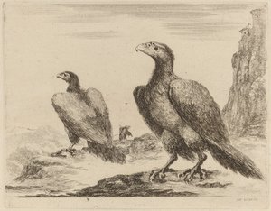 高い崖の上で頭を左に向けた 2 羽のワシ 作： Stefano della Bella