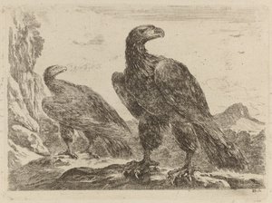 頭を右に向けた 2 頭のワシ。 作： Stefano della Bella