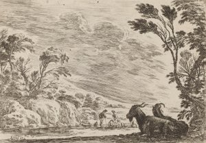 横たわる2頭のヤギ、1642年。 作： Stefano della Bella