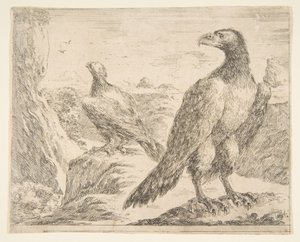 Eagles Les aiglesからの2つのワシ、ca。 1651年。 作： Stefano della Bella