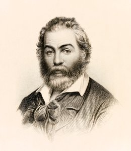 アメリカの詩人ウォルトホイットマンの詩集「リーブスオブグラス」の1860年版の口絵 作： Stephen Alonzo Schoff