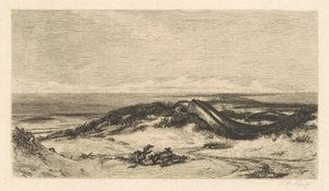 海の蛇 作： Stephen Alonzo Schoff, after Elihu Vedder