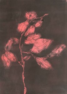 Foliage I, 2015（モノプリント、紙）