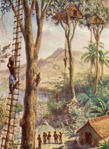 パテソン司教の生涯のイラスト（カラーリトグラフ） 作： Stephen T. Dadd