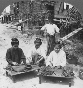 女性が喫煙する巨大な葉巻を作ること、ビルマ、1908 作： Stereo Travel Co