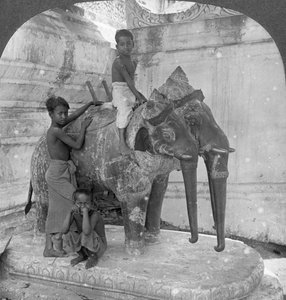 聖域を守る3頭の象、アラカンパゴダ、マンダレー、ビルマ、1908年。