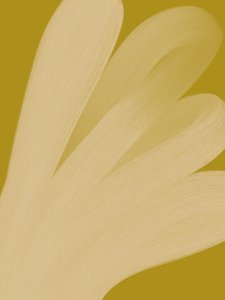  作： Studio Palette