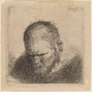 あごひげを生やした男, 見ること 作： Studio of Rembrandt van Rijn
