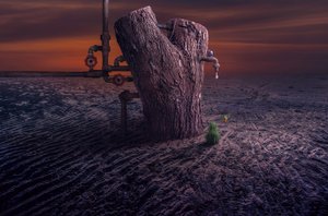  作： Sulaiman Almawash