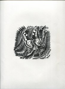 熱帯蝶（木版画） 作： Suzanne Cooper