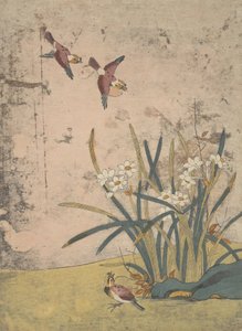 鳥と水仙。 作： Suzuki Harunobu