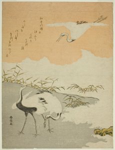 海辺の鶴 作： Suzuki Harunobu