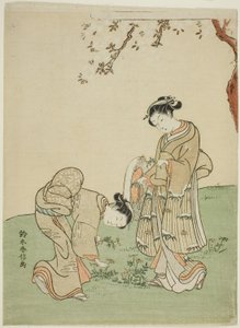 春の花を集める 作： Suzuki Harunobu
