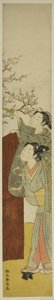 梅の枝摘み 作： Suzuki Harunobu