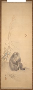 君は
