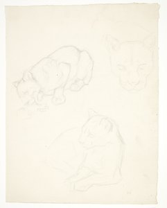 子ライオンの 3 つの習作 作： Svend Rathsack